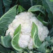 Cauliflower